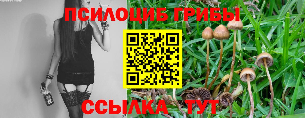 Псилоцибиновые грибы Cubensis  Вход с VPN  Псилоцибиновые грибы мухоморы  Протвино 